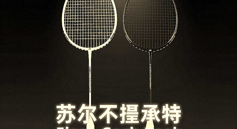 Aichi-Nagoya 2026 Men's Singles Final: Loh Kean Yew, Kunlavut Vitidsarn and the Empty Columns