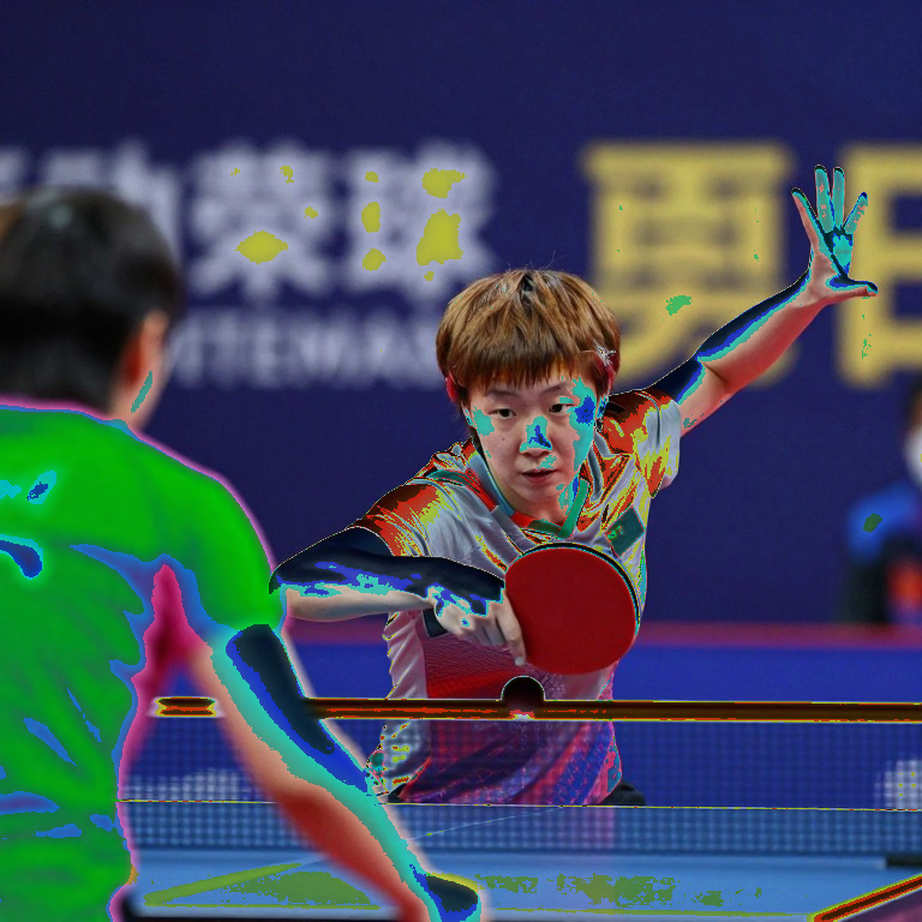 Hoa Kỳ quét 14/14 vàng U11-U13 châu Mỹ tại Katy, Texas Hoa Kỳ quét 14/14 vàng U11-U13 châu Mỹ tại Katy, Texas