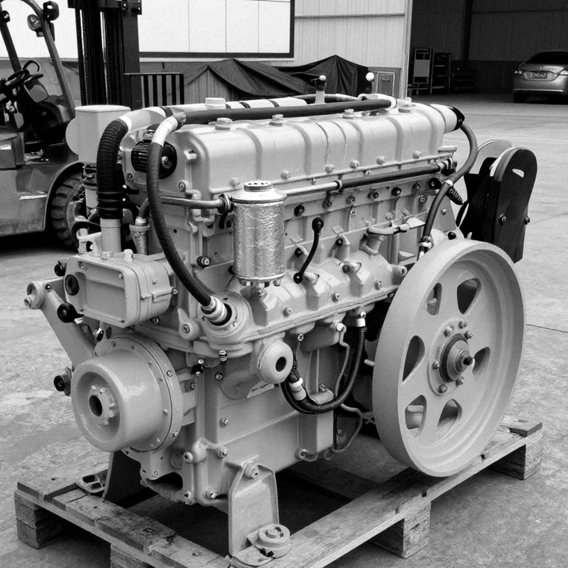 Bài học từ một cái tên bị đọc sai: Khi hệ thống thể thao không nhìn thấy con người